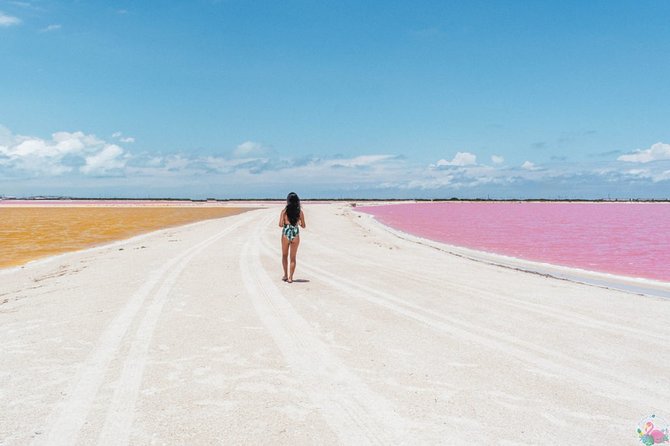 Las Coloradas Pink Lake With Ría Lagartos Boat Trip and Meals  - Cancun - Visitor Directions and Recommendations