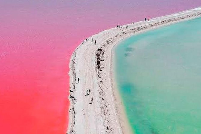 Las Coloradas & Rio Lagartos Tour From Cancún - Guest Satisfaction and Suggestions