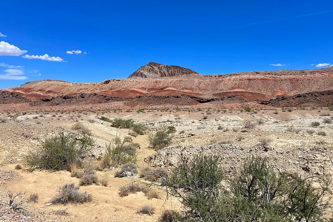 Las Vegas Guided Off-Road Adventure to Boathouse Cove - Traveler Experience