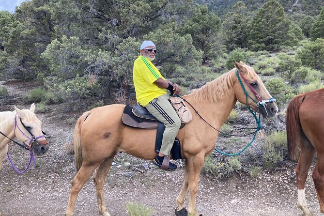 Las Vegas Horseback Riding Adventure - Visitor Reviews