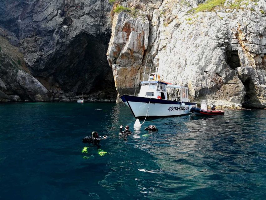 L'Estartit: Try Dive and Snorkeling in Montgrí National Park - Guest Reviews