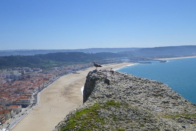 Lisbon Private Fatima, Batalha, Nazare, Obidos Tour - Tour Inclusions