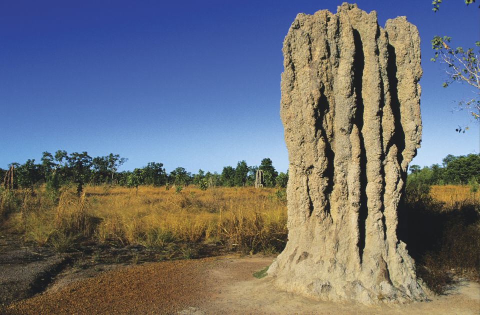 Litchfield National Park: Full-Day & Lunch From Darwin - Important Information