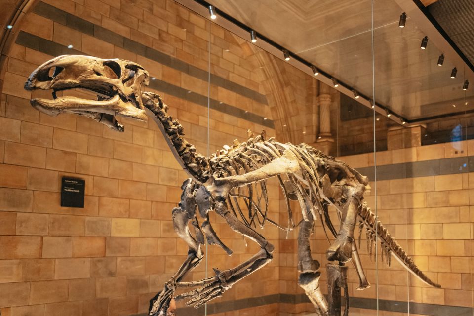 London: Natural History Museum Private Guided Family Tour - Customer Review