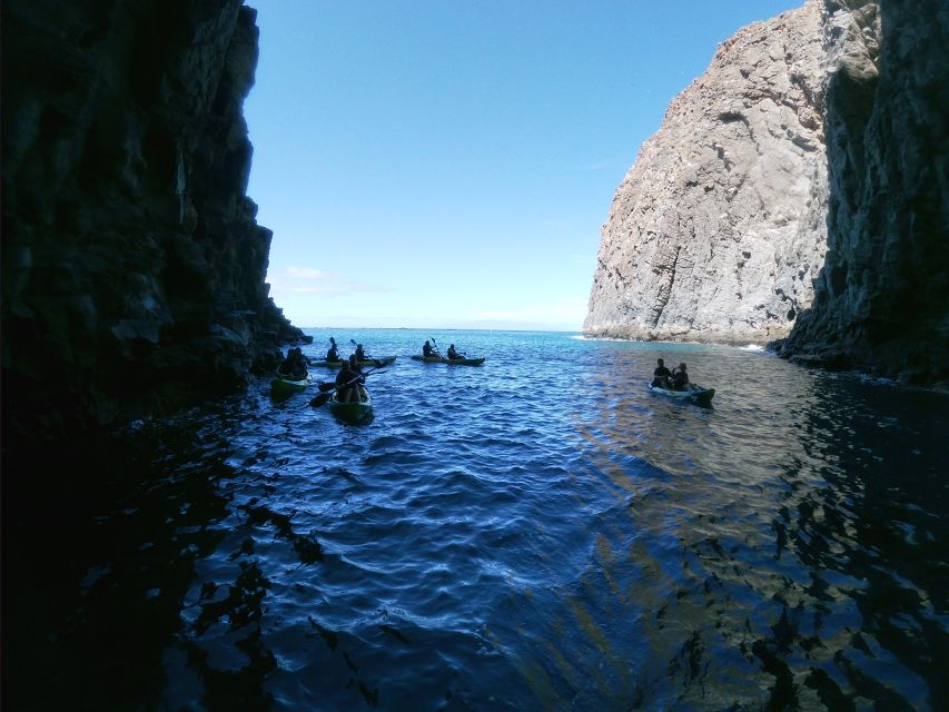 Los Cristianos: Kayak and Snorkel With Turtles - Equipment Included
