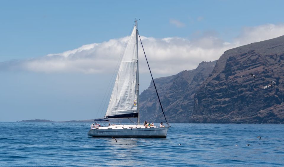 Los Gigantes: Private Sailing Tour With Swim, Drink, & Tapas - Customer Reviews