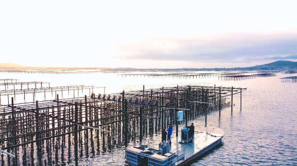 Loupian: Tour Guide of Our Oyster Farm and Tasting - Important Details