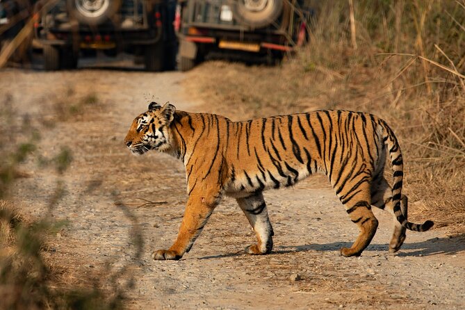 Luxury Chitwan Jungle Safari Tour - Flexible Cancellation Policy Details