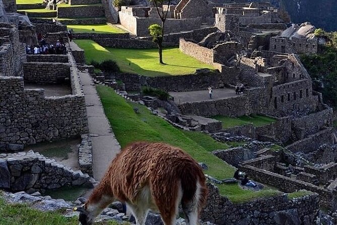 Machu Picchu 1 Day by Train From Cusco - Additional Information