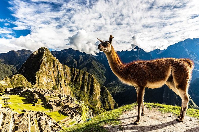 Machu Picchu Delight: Unforgettable Day Trip From Cusco - Tips for a Memorable Experience