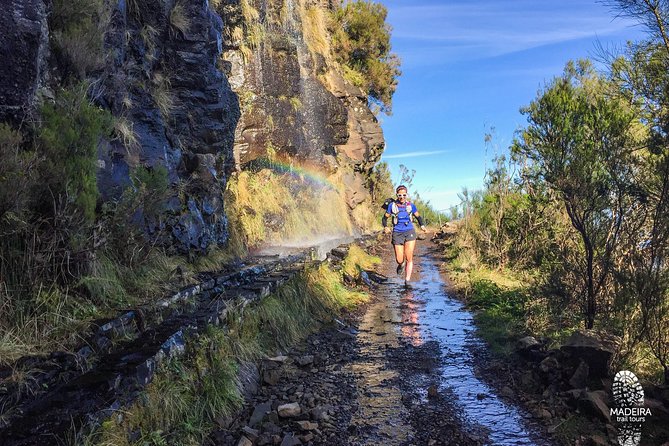 Madeira: Laurisilva Private or Small-Group Running Tour  - Funchal - Common questions