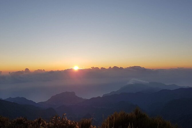 Madeira Private Jeep 4x4: Old Forest Full-Day Tour Incl Pico Arieiro - Last Words