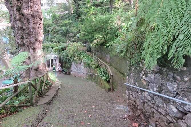 Madeira: Private Monte Tour by Cable Car With Transfer - Pick-Up and Location Details