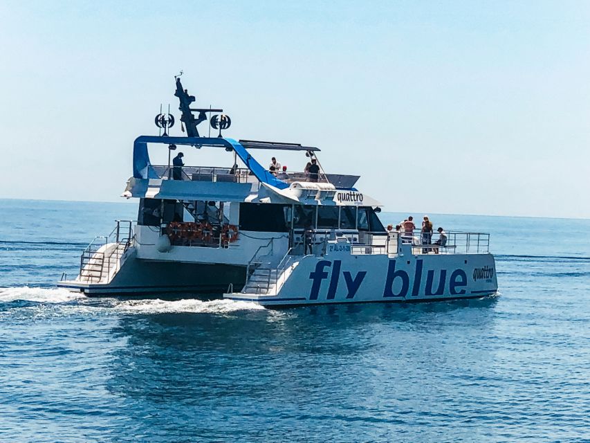 Malaga: Catamaran Cruise With Optional Swimming Stop - Logistics & Reviews