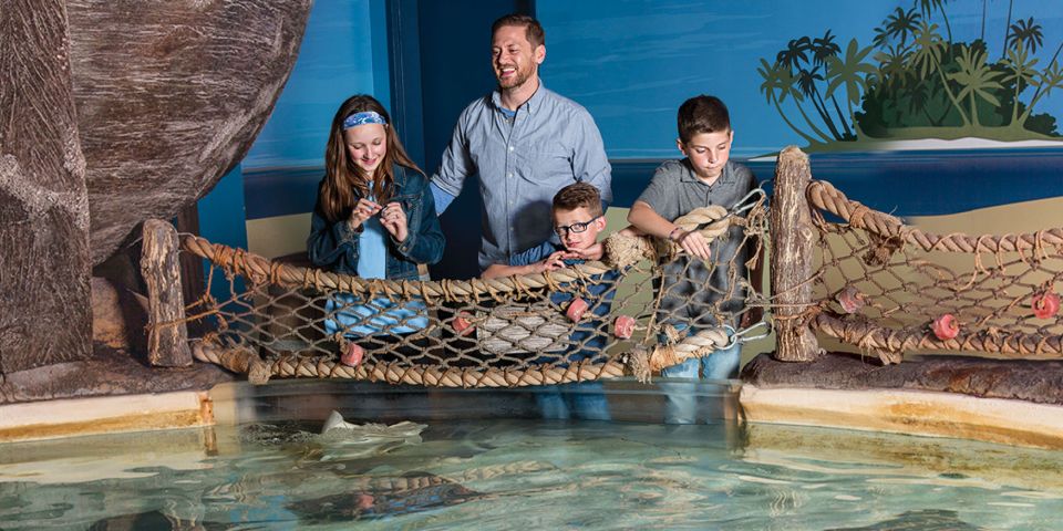 Mall of America: Sea Life Minnesota Aquarium Entry Ticket - Visitor Reviews