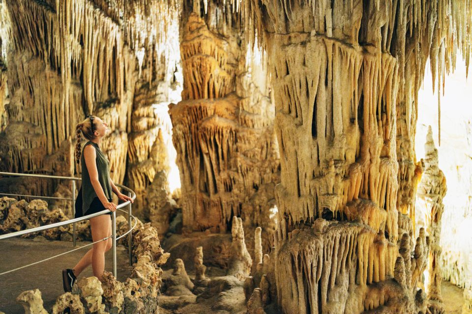 Mallorca: Caves of Drach Day Trip & Optional Caves of Hams - Highlights