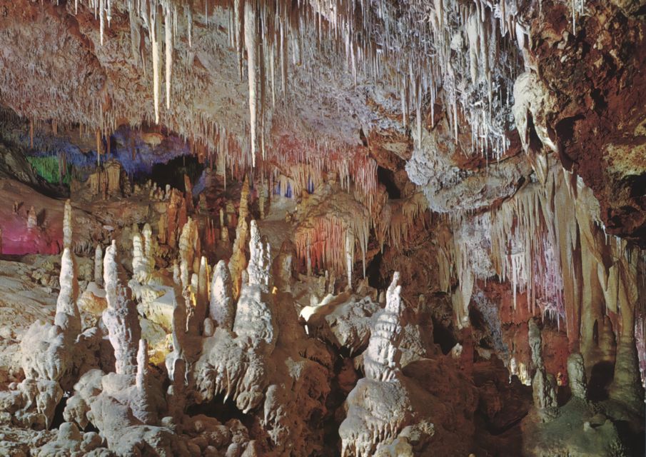 Mallorca: Day Trip to Caves of Hams & Optional Dinosaurland - Additional Information for Visitors