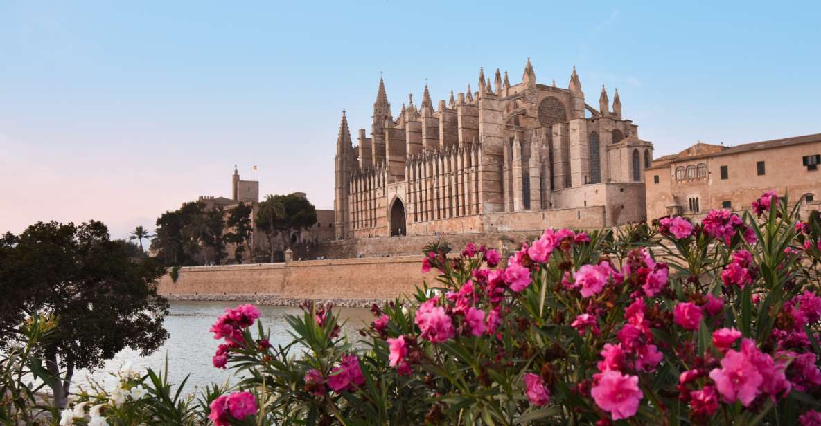 Mallorca: Instafamous Tour of Palma and North Coast - Excursion Experience