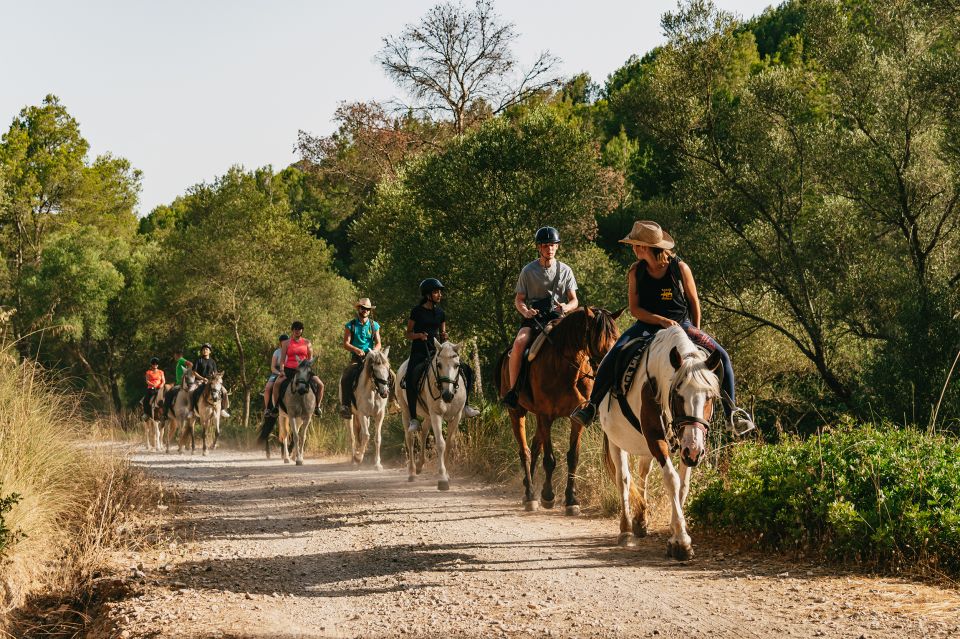 Mallorca: Mountain Horse Riding Experience W/ Brunch Option - Guest Reviews