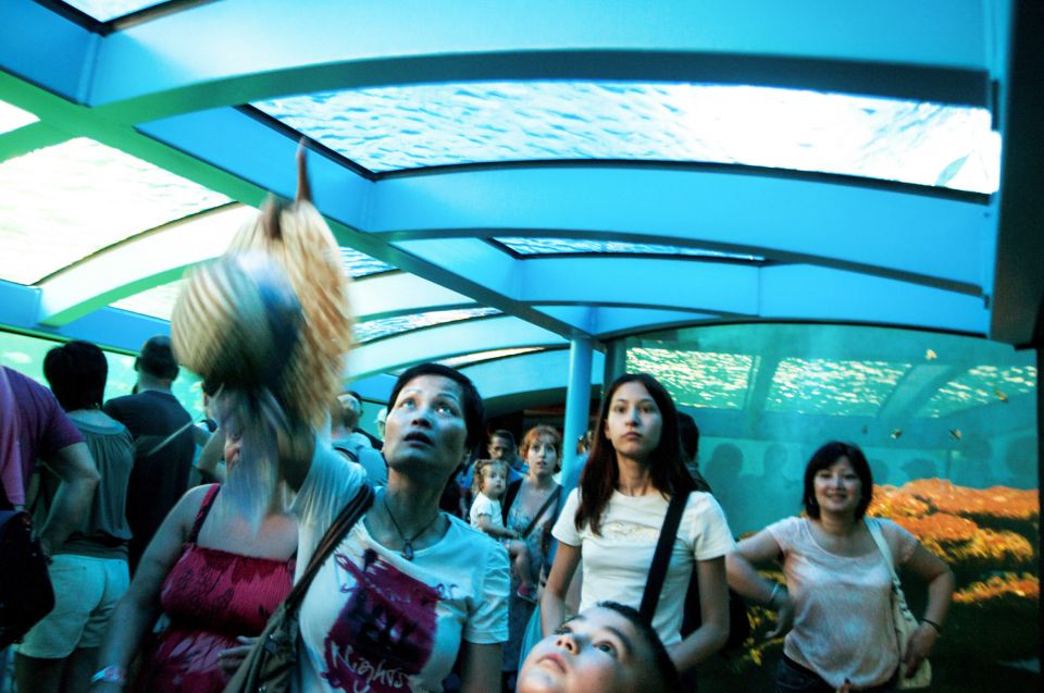 Mallorca: Palma Aquarium Entry Ticket W/ Optional 3D Cinema - Visitor Reviews
