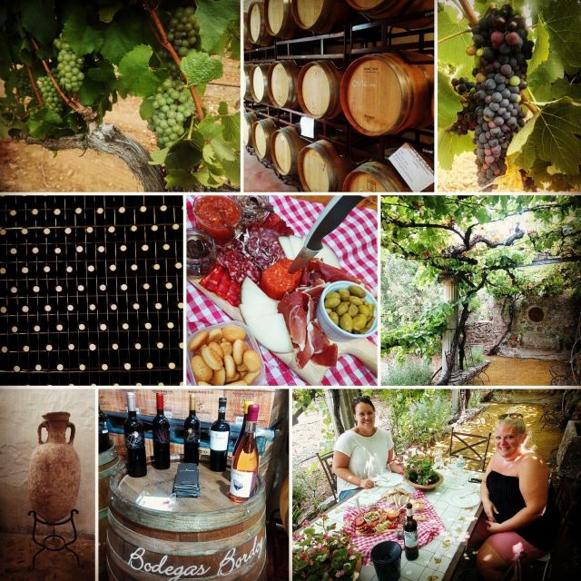 Mallorca: Private Wine Tour With Tasting and Picnic - Customer Reviews