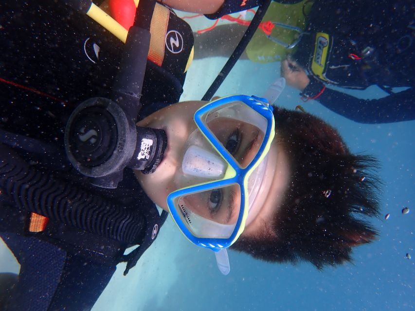 Mallorca: Scuba Diving Tour in a Marine Nature Reserve - Review Summary