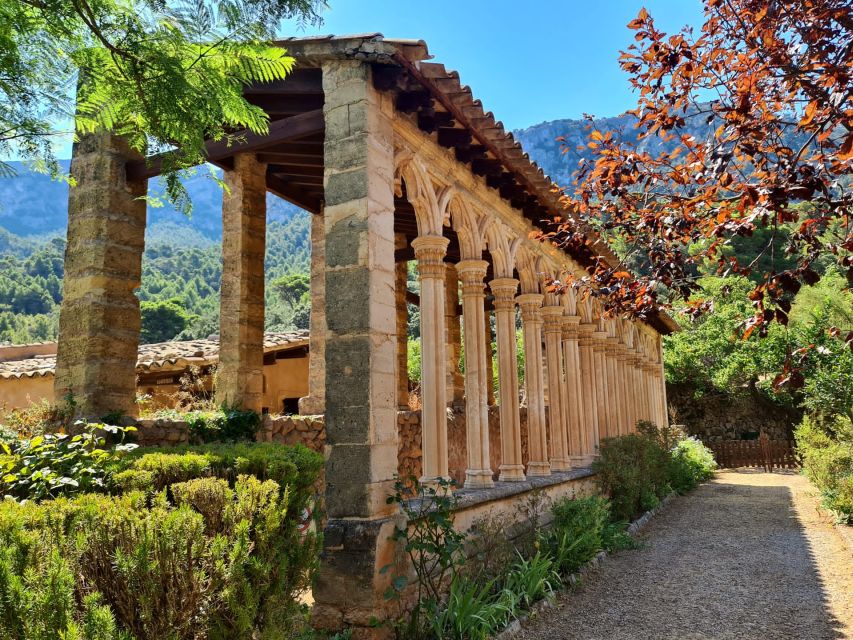 Mallorca: Tramuntana Mountains Tour With Local Guide & Lunch - Customer Experience