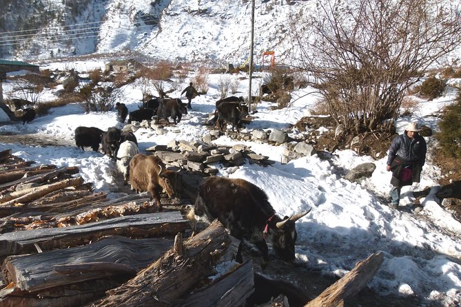 Manaslu Circuit Trek 17 Nights 18 Days - Last Words