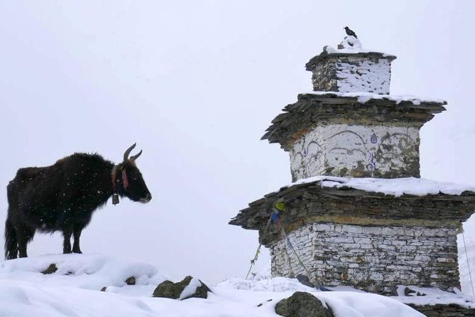 Manaslu Circuit Trekking - 15 Days - Food and Water Availability