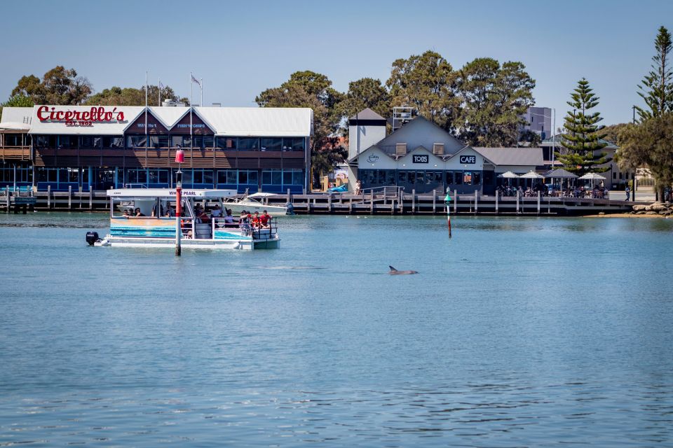 Mandurah: Sightseeing Dolphin Cruise With Tour Guide - Last Words