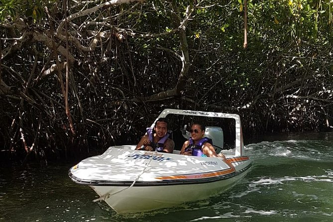Mangrove and Lagoon Speed Boat Tour - Reviews and Visitor Feedback