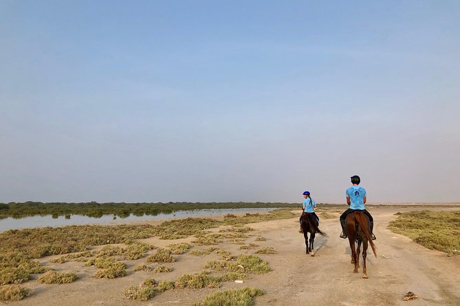 Mangroves Ride - Common questions