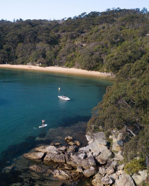 Manly Stand Up Paddle Board Hire - Last Words