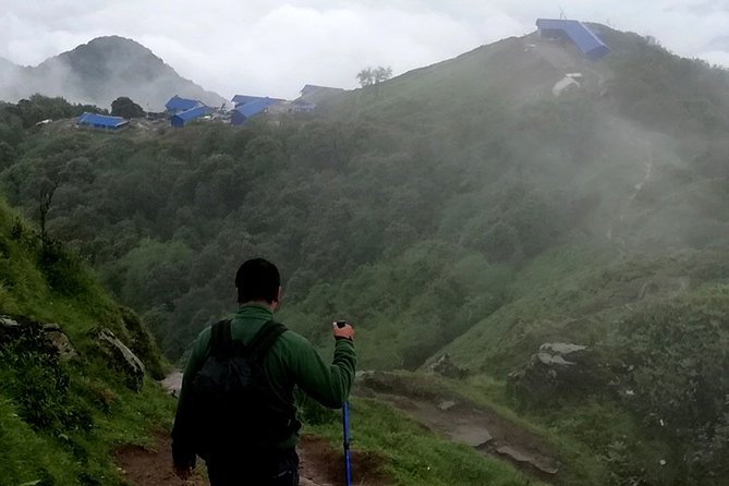 Mardi Himal Trekking - 10 Days - Day 4: Pitam Deurali to Forest Camp