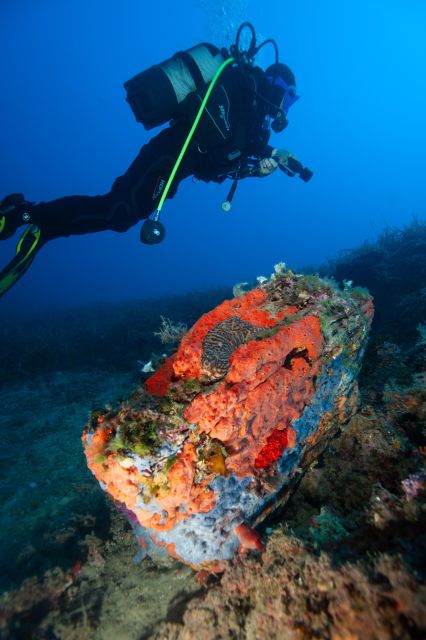 MARINA DI CAMPO: DIVING ON THE ISLAND OF ELBA AND PIANOSA - Directions