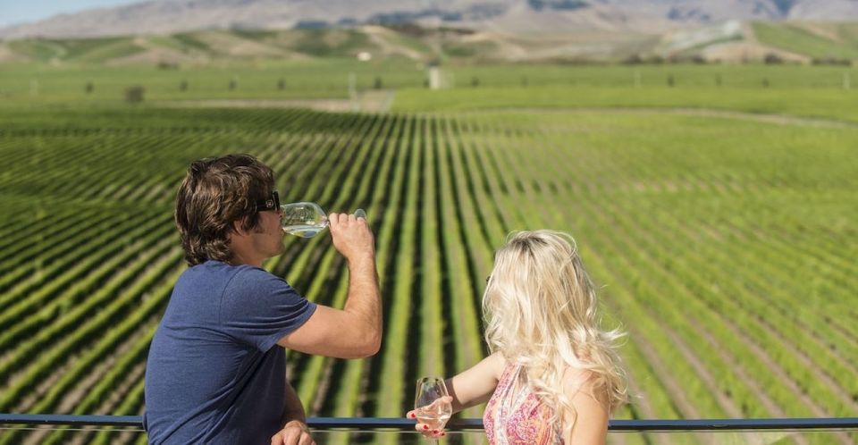 Marlborough: Full-Day Wine and Seafood Tour With Cruise - Last Words