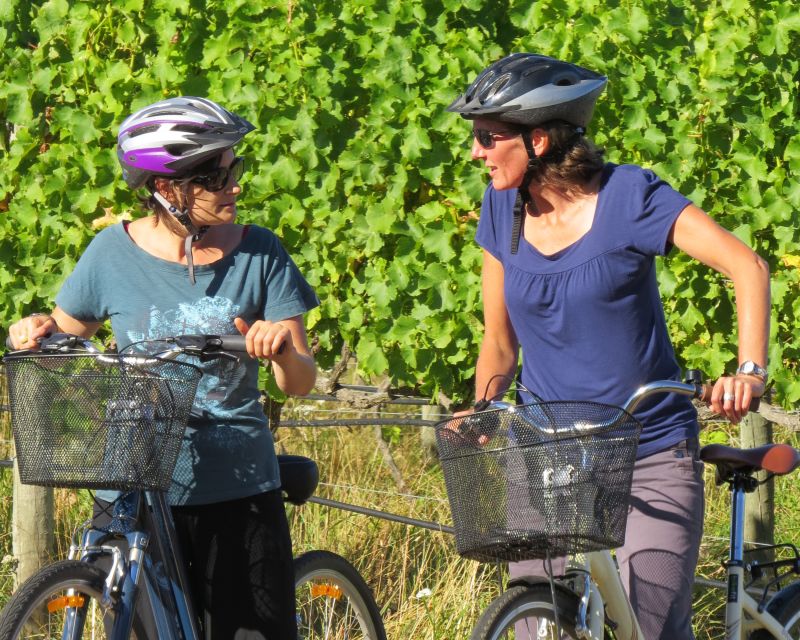 Marlborough Half Guided & Half Self-Guided Bike Wine Tour - Review Summary