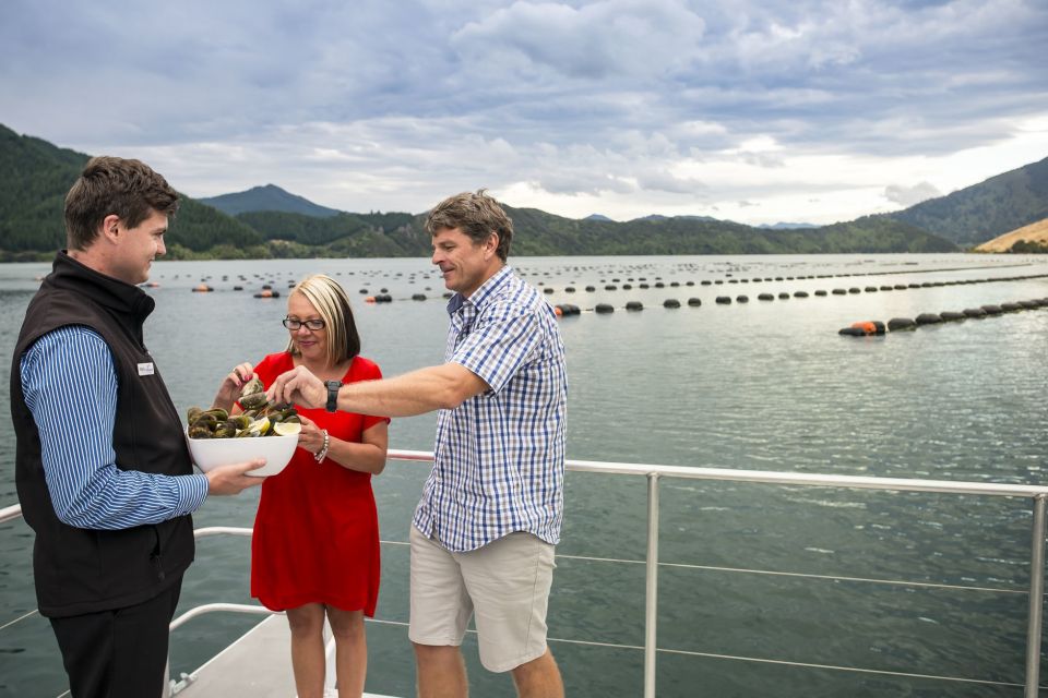 Marlborough Sounds: Greenshell Mussel Cruise - Review Summary