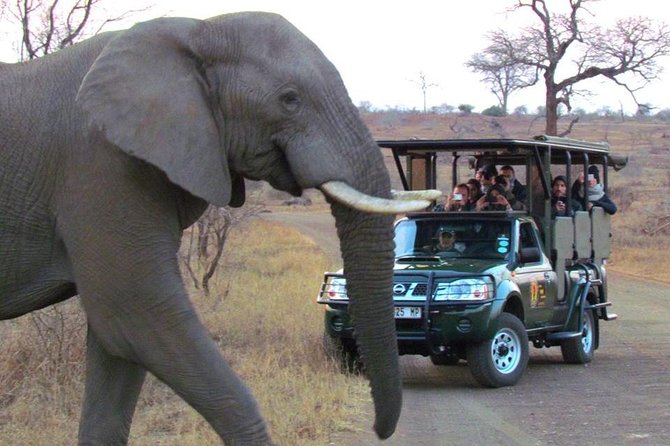 Marloth Park Small-Group Full-Day Kruger Safari  - Mpumalanga - Contact and Support