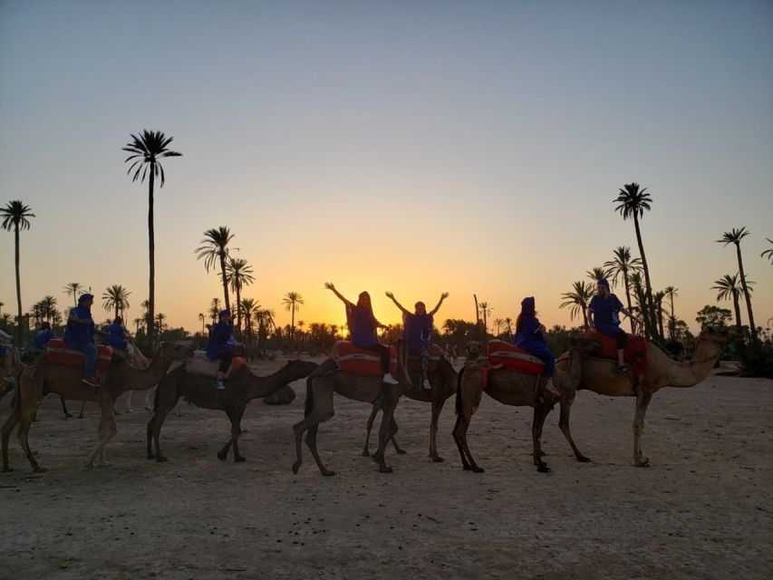 Marrakech Palmeraie: Sunset Camel Ride - Additional Information