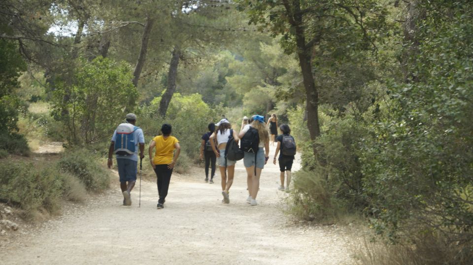 Marseille: Calanques National Park Guided Hike With Picnic - Important Information
