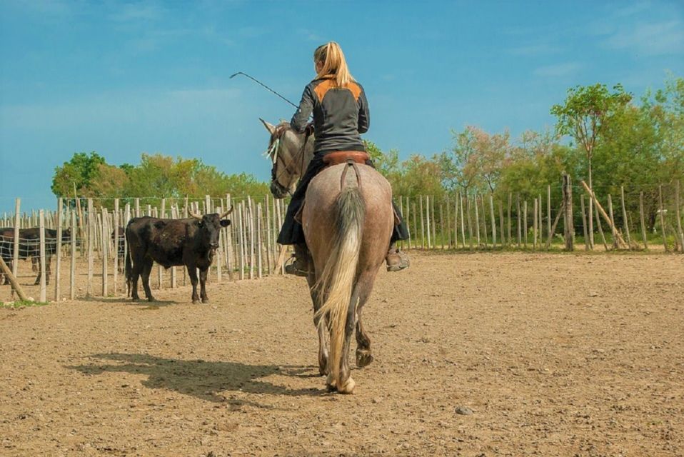 Marseille: The Camargue 8-Hour Guided Outing - Booking Details