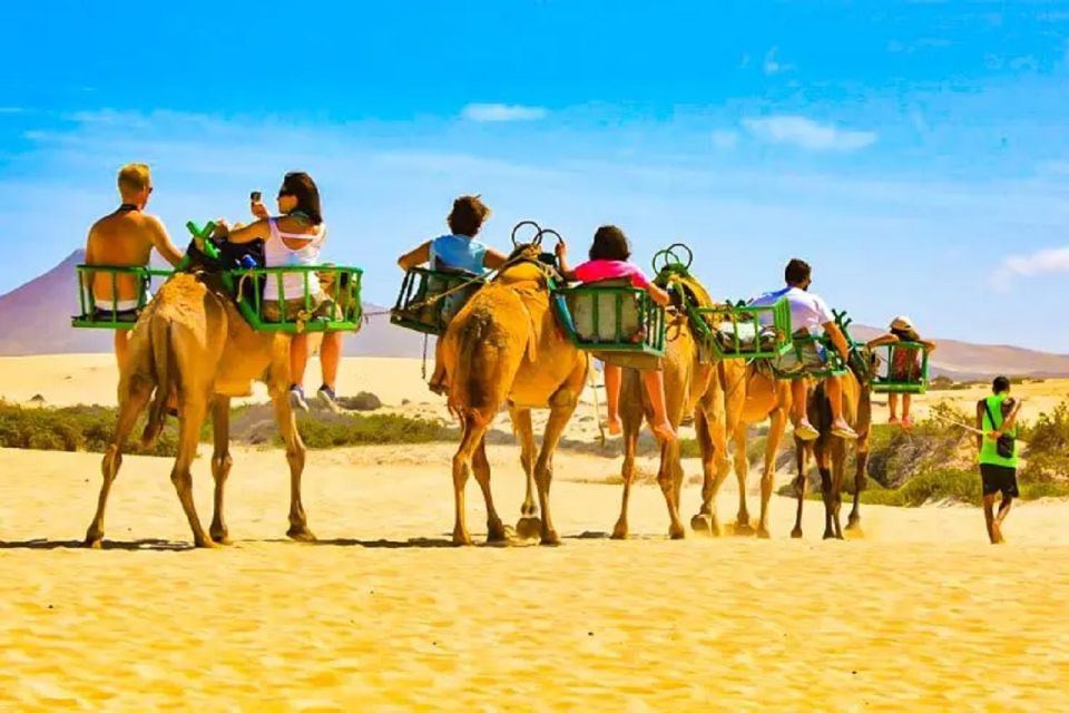 Maspalomas: Electric Scooter Chopper 2 Seat and Camel Tour - Customer Reviews