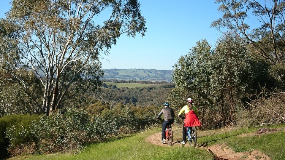 Mclaren Vale Hills Vines and Wines Bike Tour From Adelaide - Directions