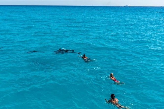 Meet the Dolphins in Snorkeling Tour - Cancellation Policy Details