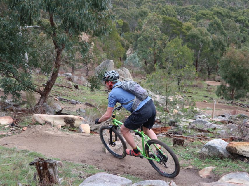 Melbourne: 1-Day Mountain Biking Adventure With Lunch - Biking Adventure in Harcourt