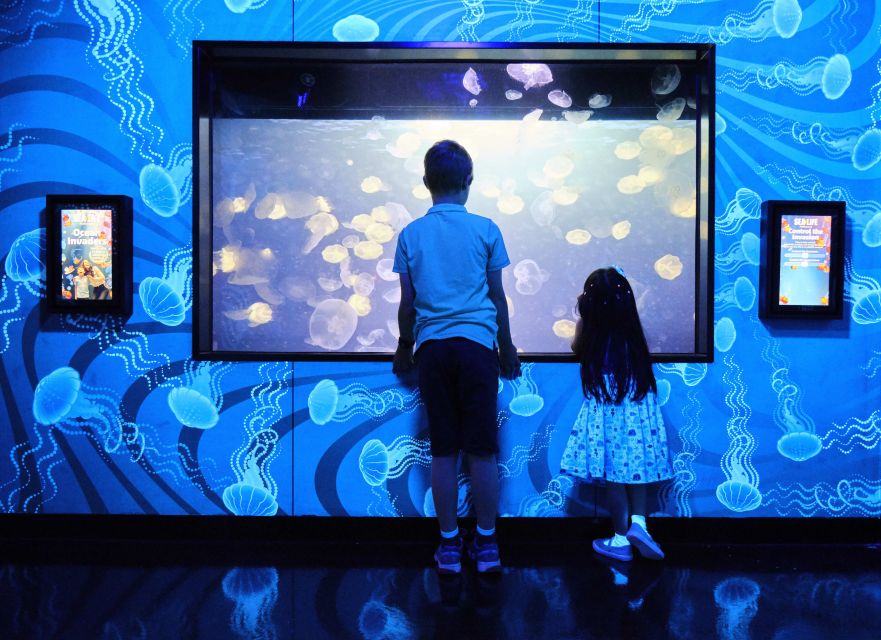 Melbourne: SEA LIFE Aquarium Entrance Ticket - Customer Reviews and Ratings