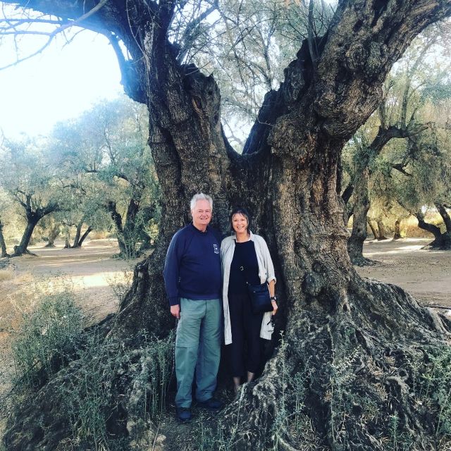 Midday Olive Oil Tour and Visit to Old Town of Belchite - Booking Information and Details