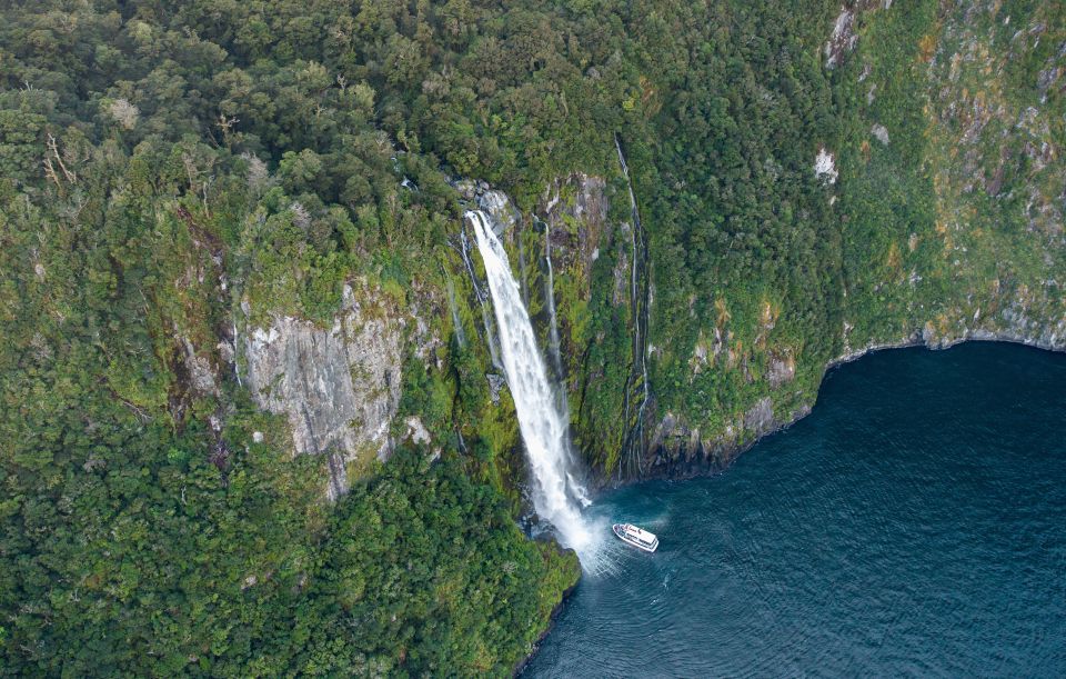 Milford Sound: Cruise and Underwater Observatory - Review Summary