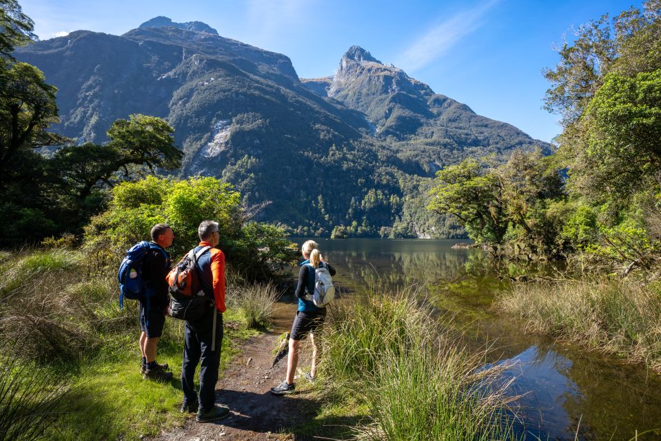 Milford Sound: Half-Day Guided Milford Track Walk - Additional Information